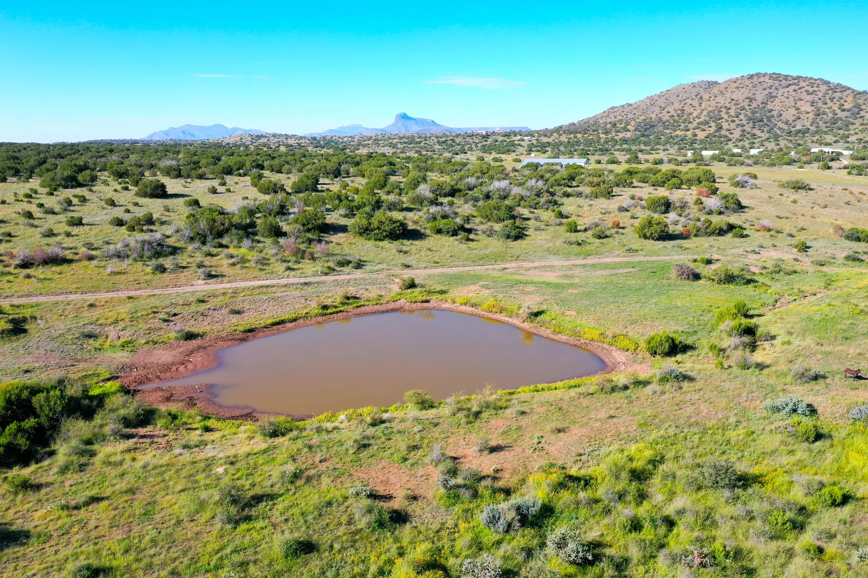 Stock pond with mountain backdrop